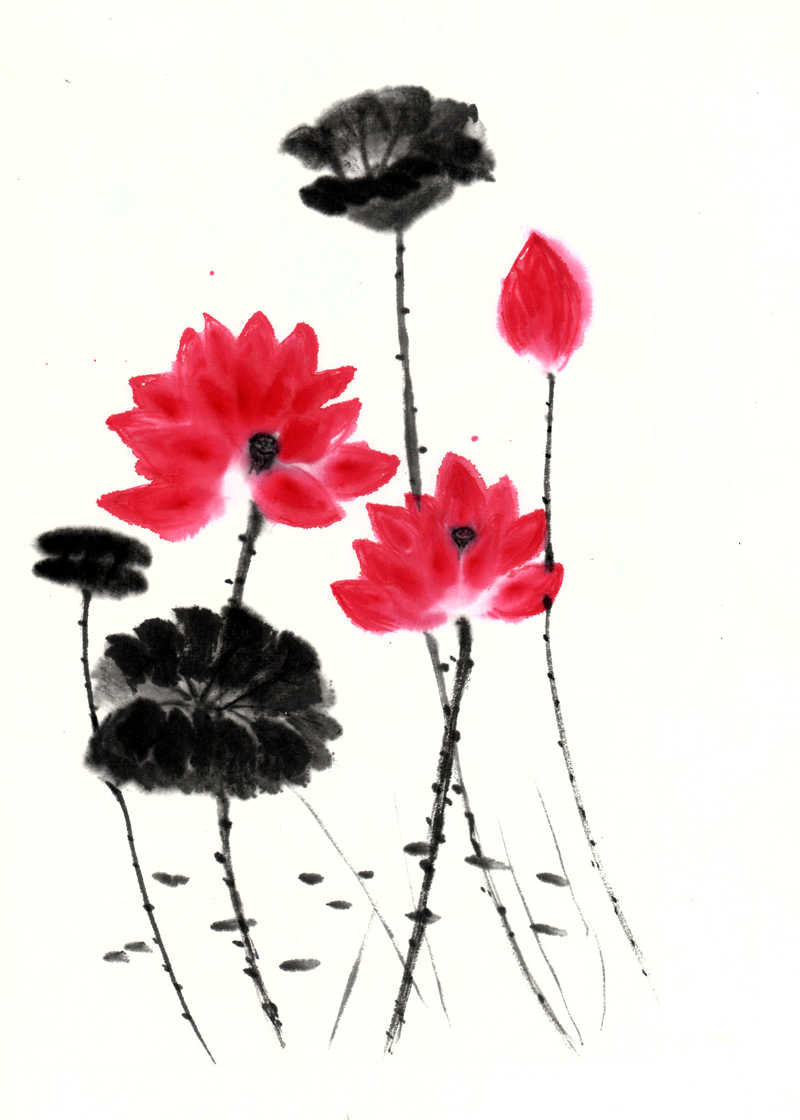 莲花-蔡文婷_副本.jpg