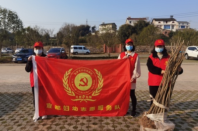 市妇幼保健院积极参加植树活动.jpg